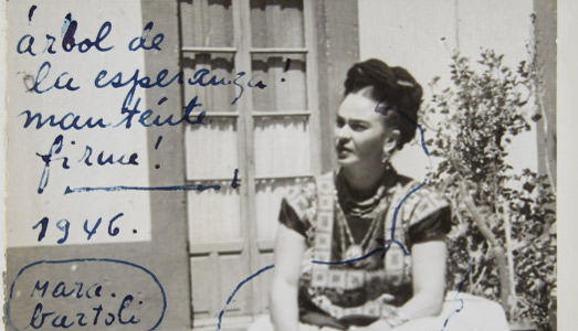 L’amore di Frida in vendita L’amore di Frida in vendita